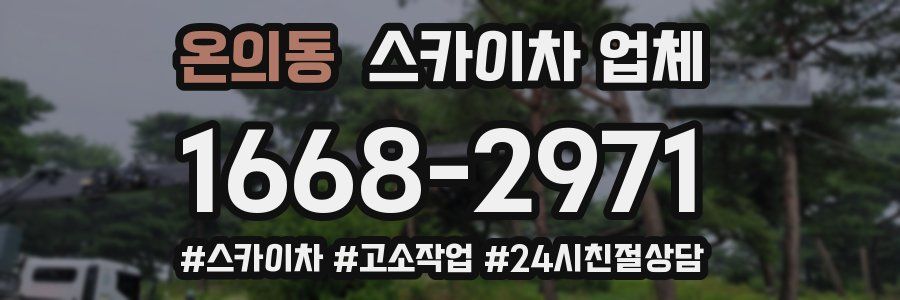 온의동 스카이차 업체