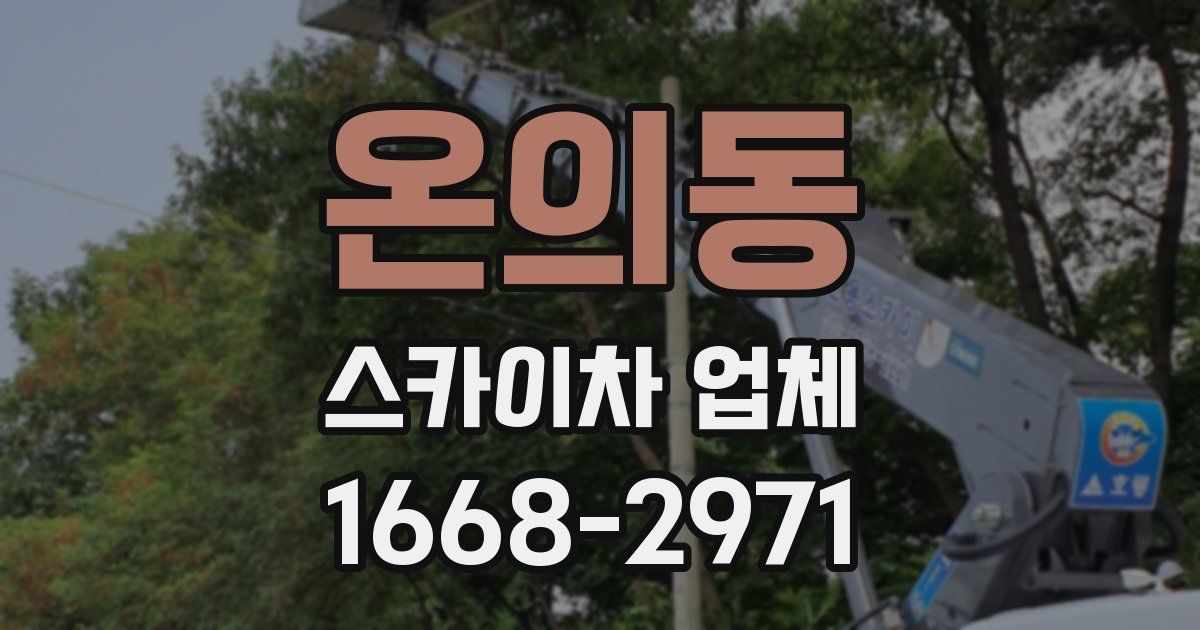온의동 스카이차 업체