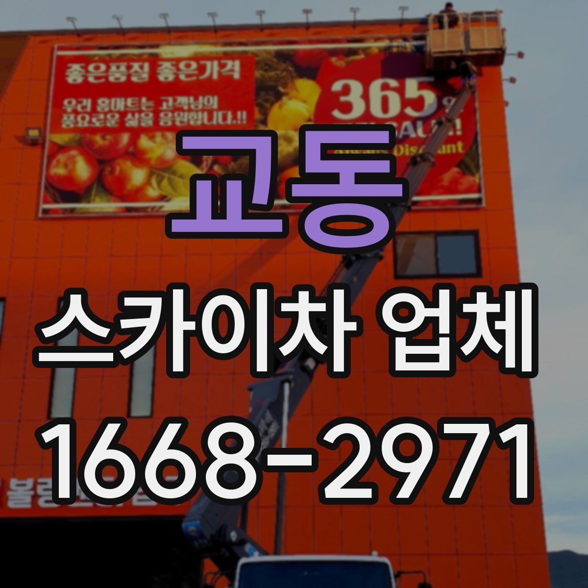교동 스카이차 업체