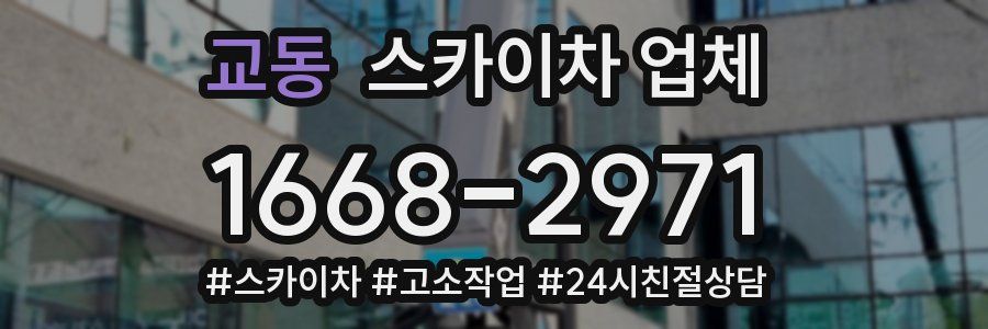 교동 스카이차 업체