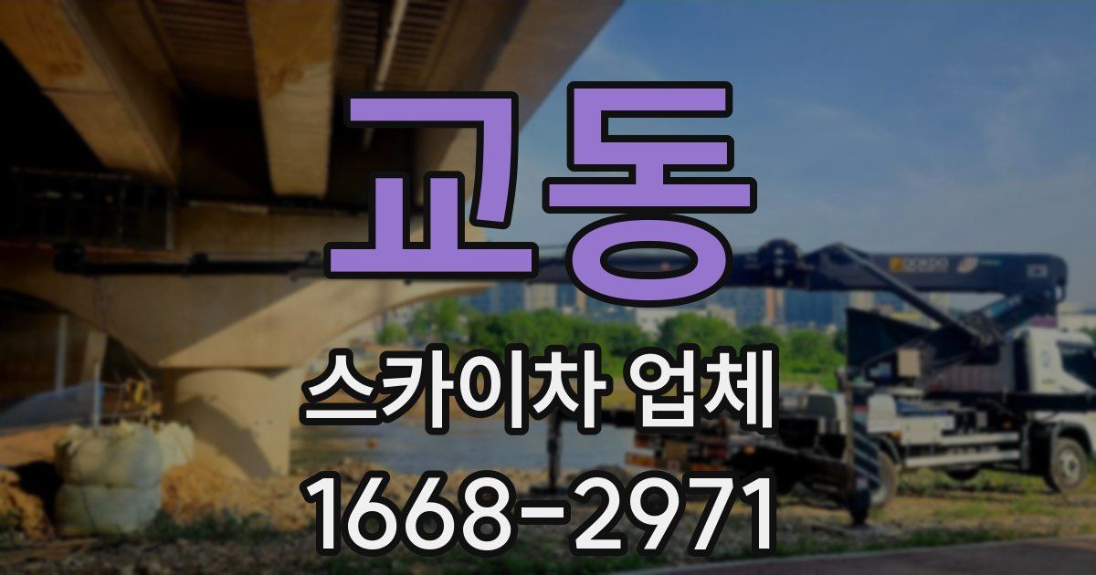교동 스카이차 업체