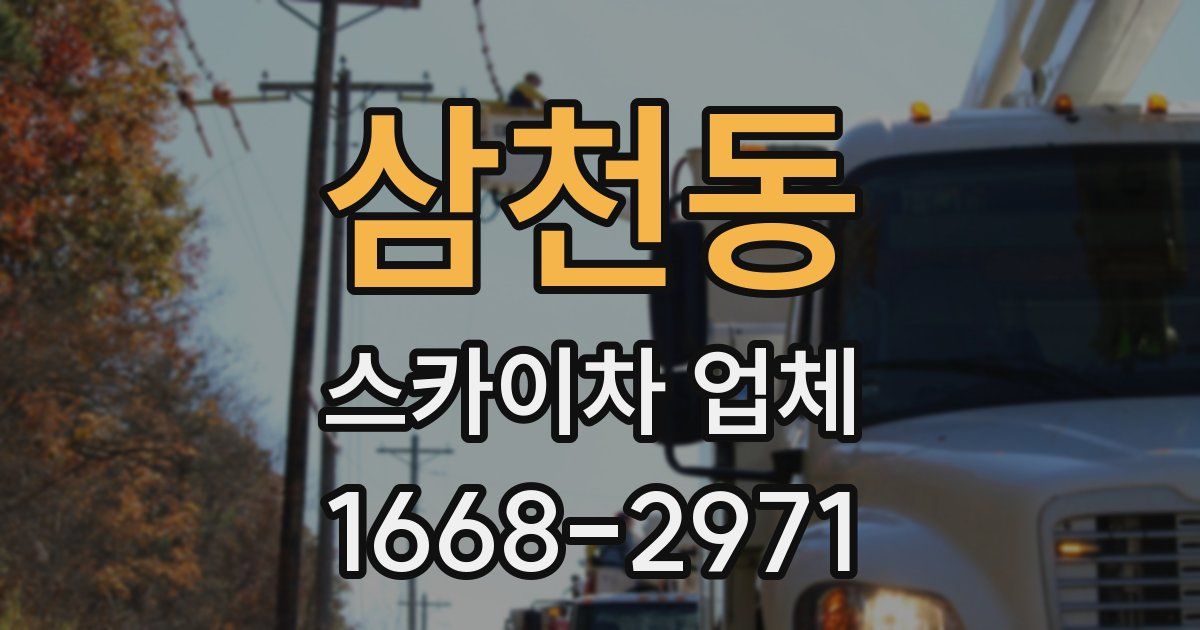 삼천동 스카이차 업체