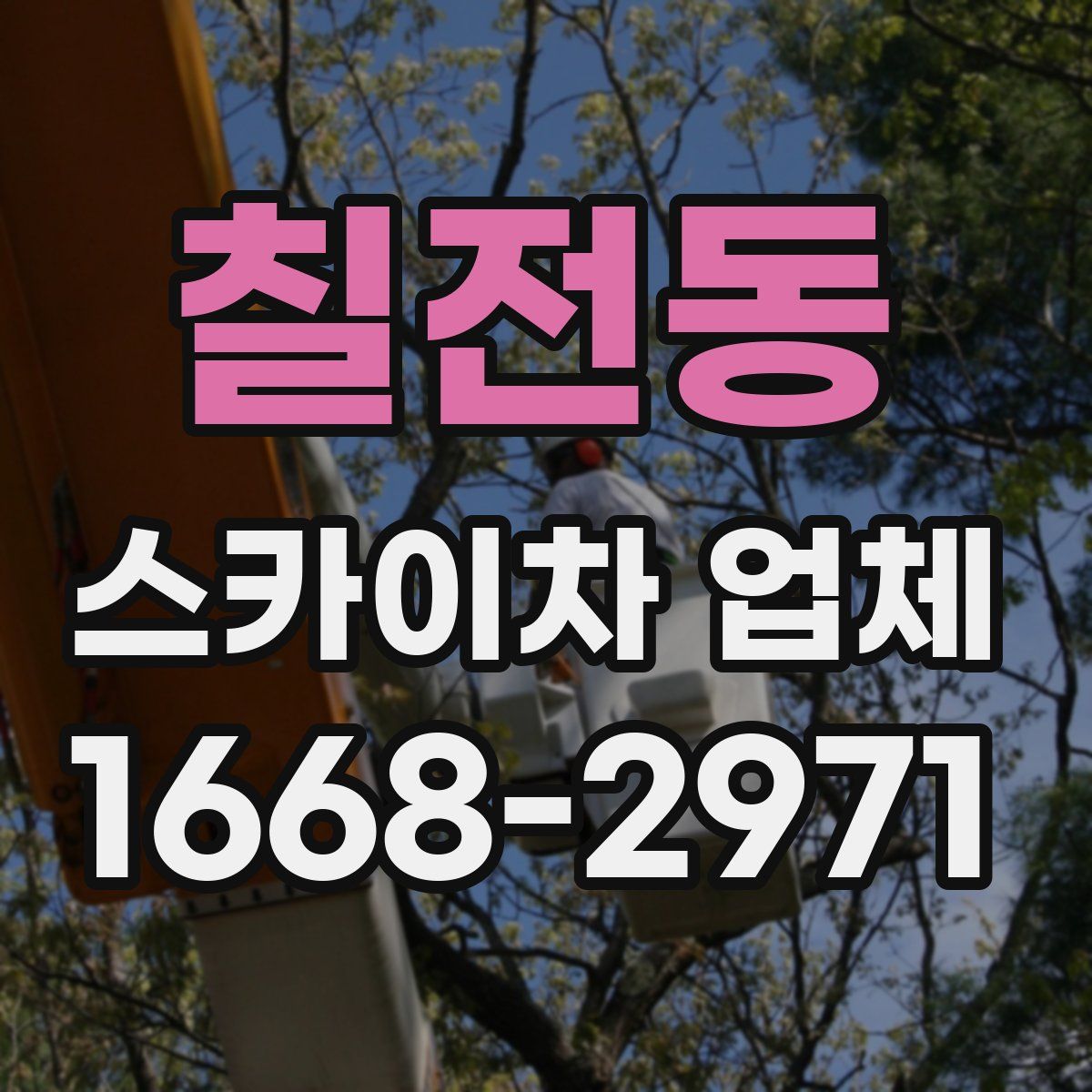 칠전동 스카이차 업체