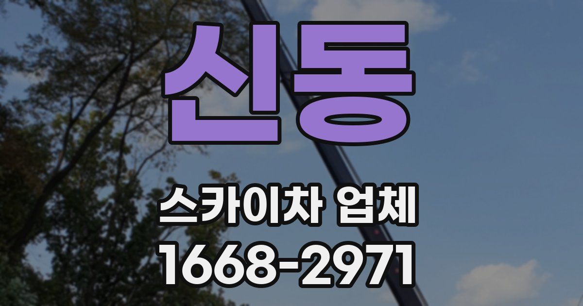 신동 스카이차 업체