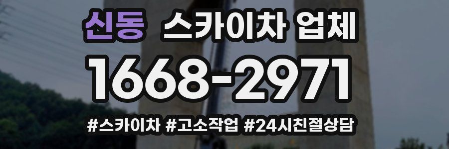 신동 스카이차 업체