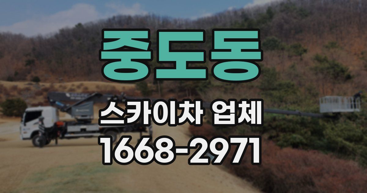 중도동 스카이차 업체