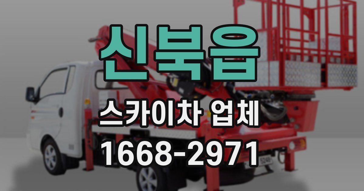 신북읍 스카이차 업체