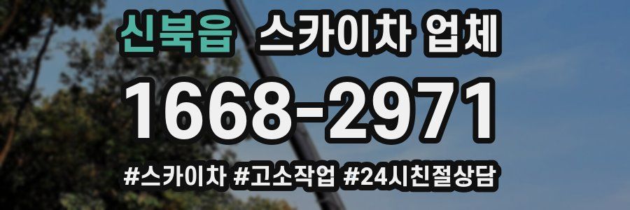 신북읍 스카이차 업체