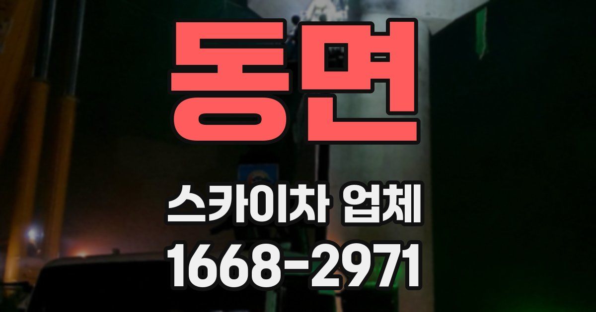 동면 스카이차 업체