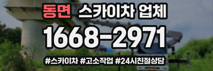 동면 스카이차 업체