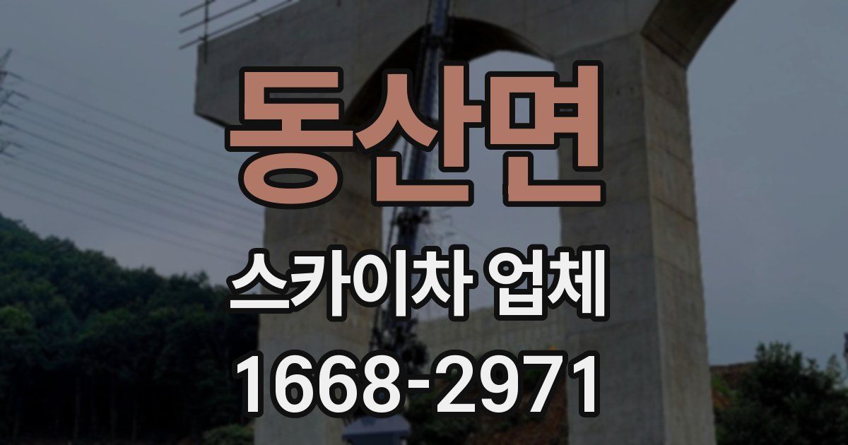 동산면 스카이차 업체