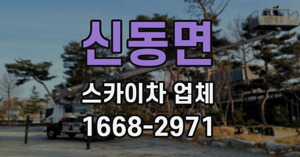 신동면 스카이차 업체