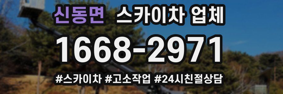 신동면 스카이차 업체