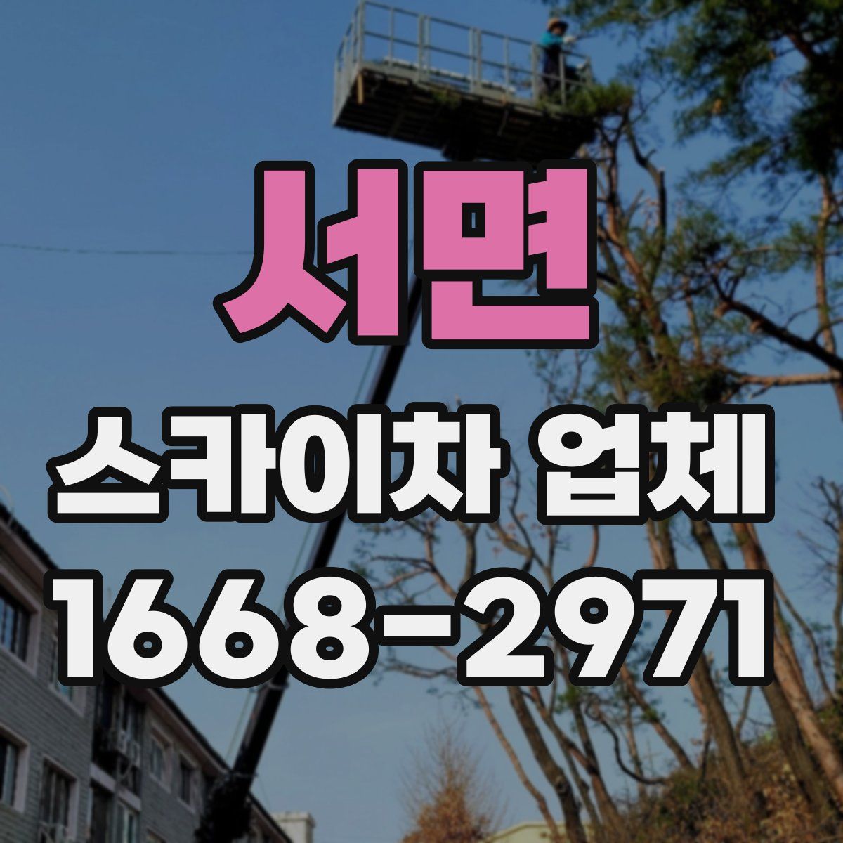 서면 스카이차 업체