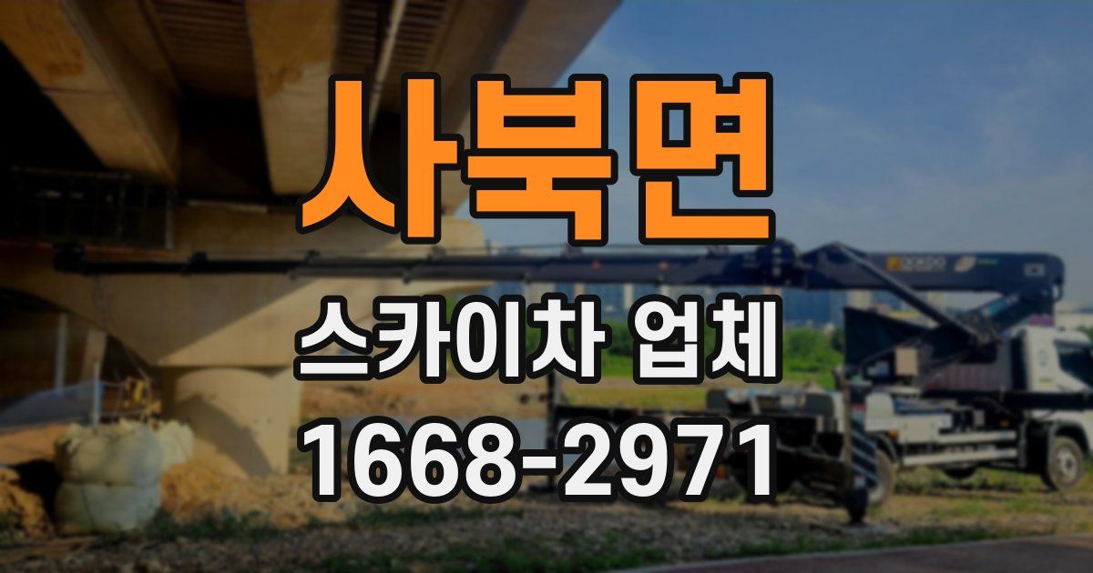사북면 스카이차 업체