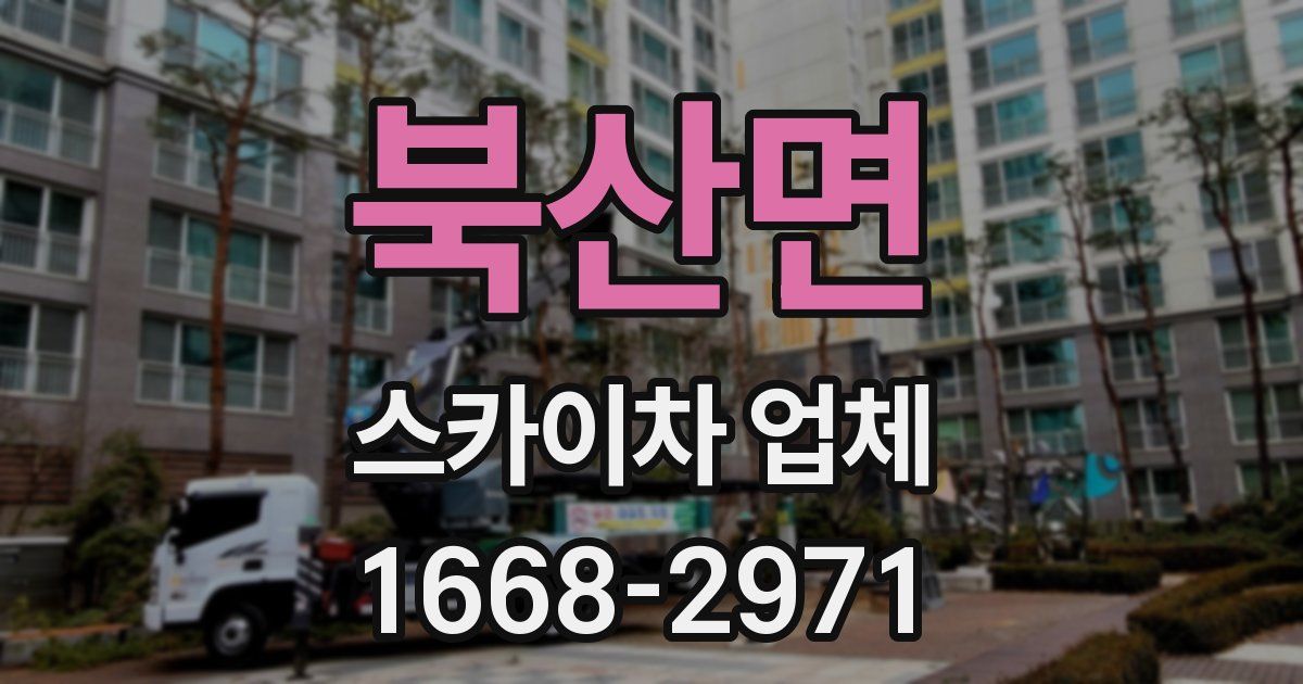 북산면 스카이차 업체