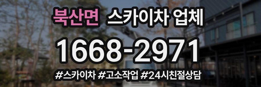 북산면 스카이차 업체