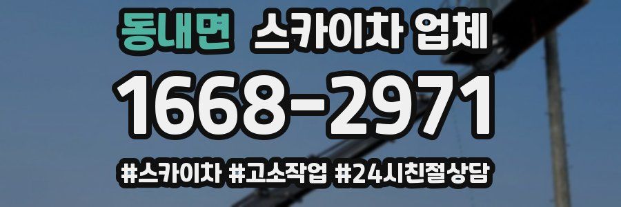 동내면 스카이차 업체