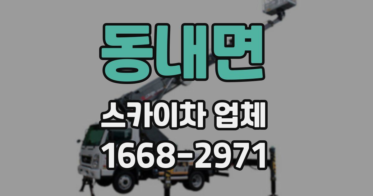 동내면 스카이차 업체