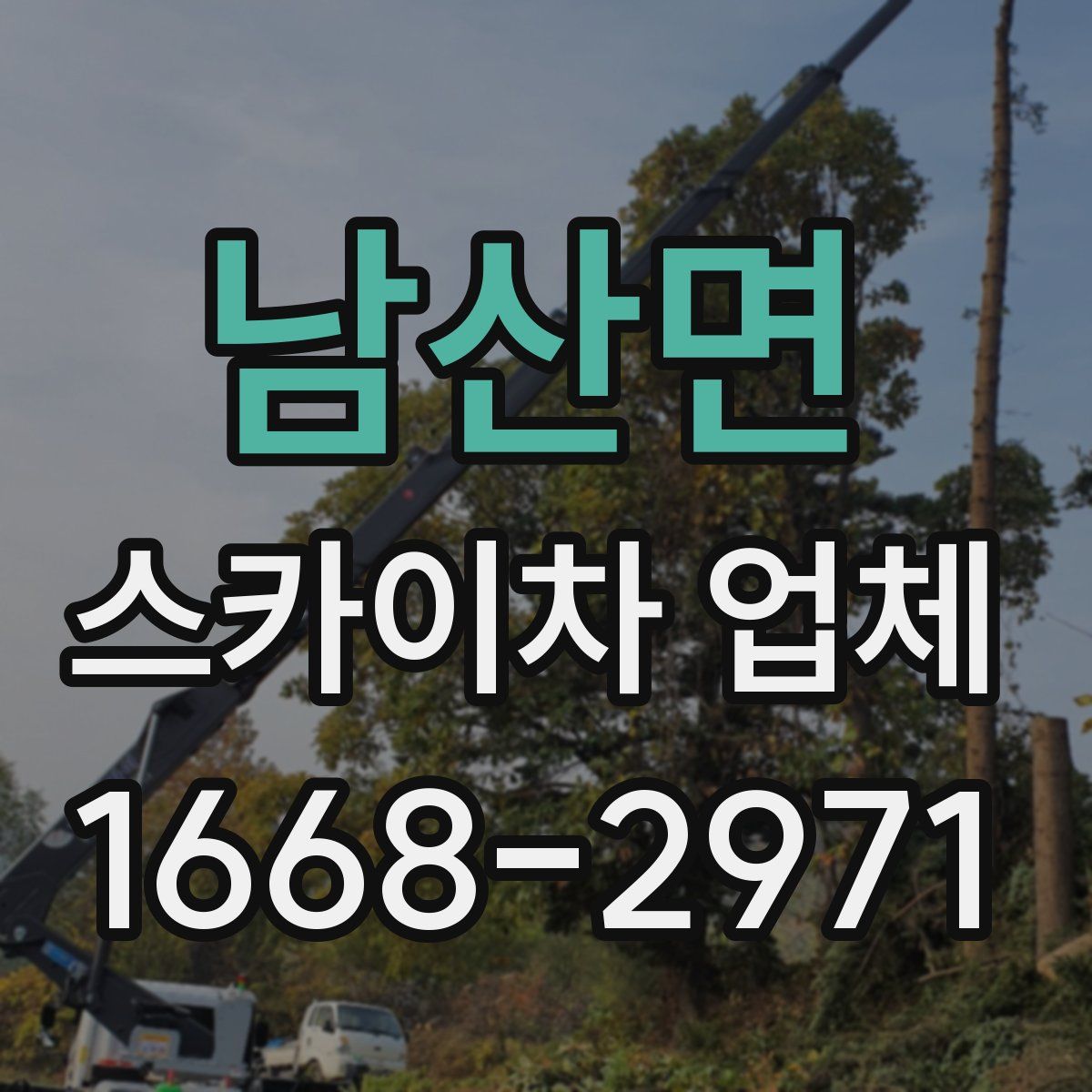남산면 스카이차 업체