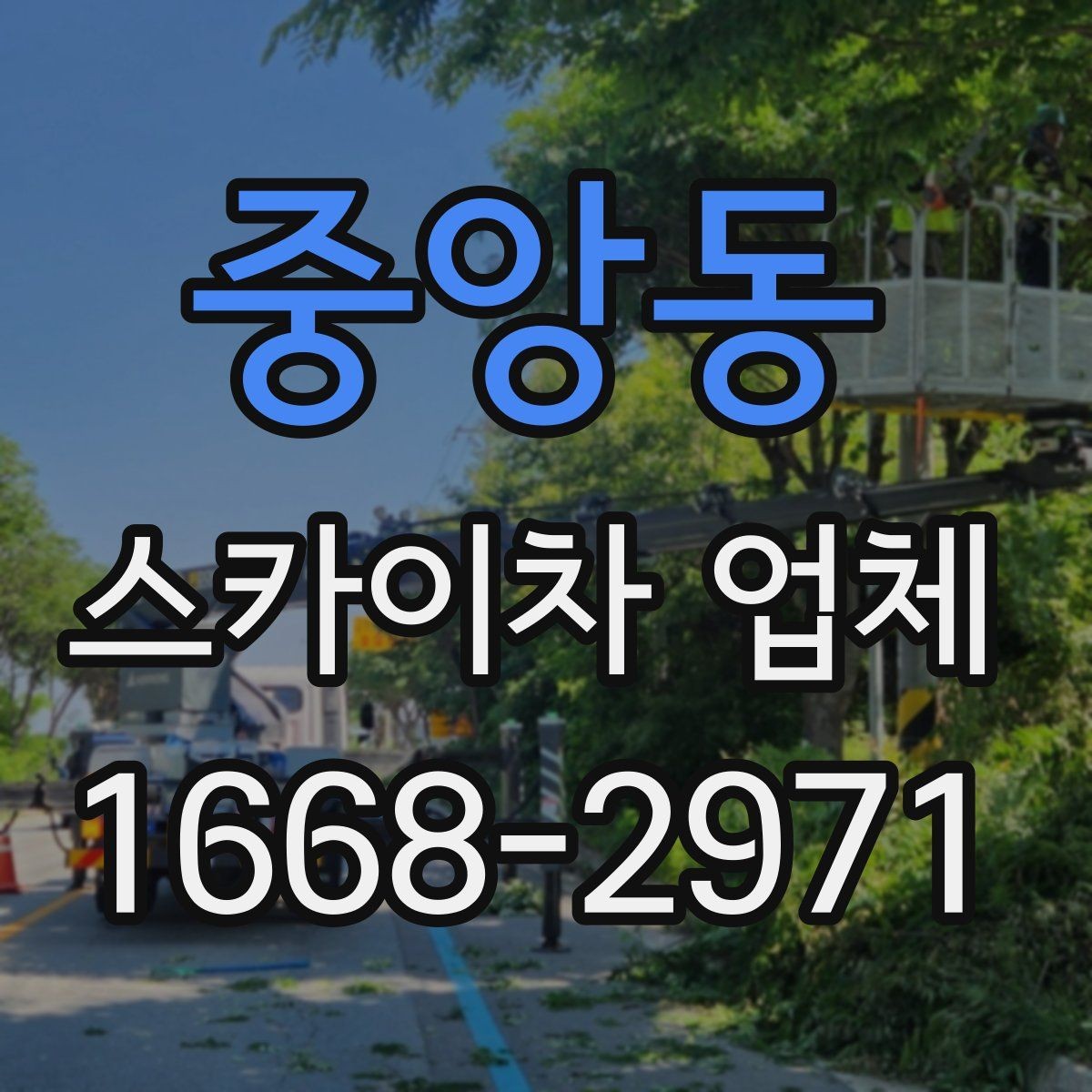 중앙동 스카이차 업체 문의 후 현장 방문이 필요한 이유