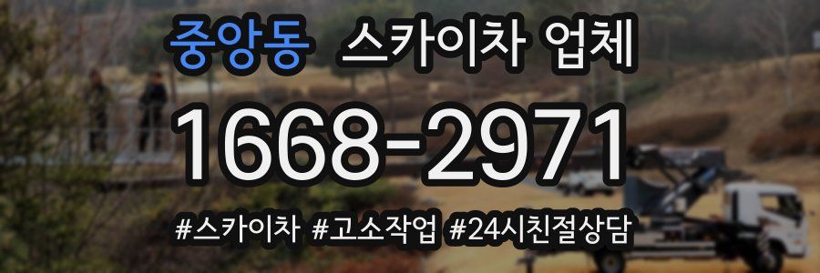 중앙동 스카이차 업체