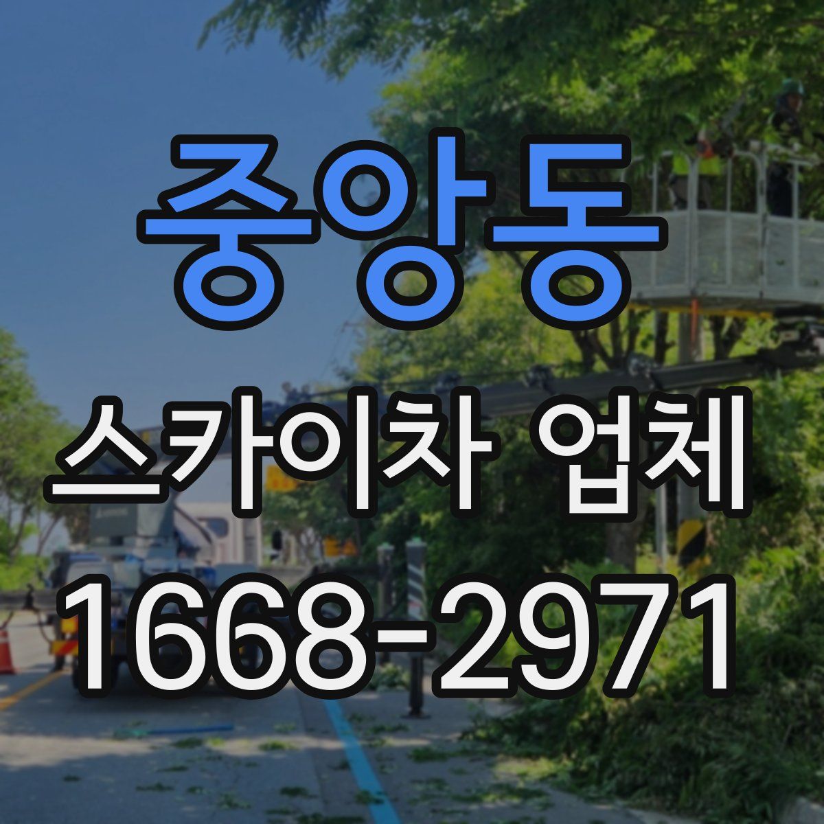 중앙동 스카이차 업체