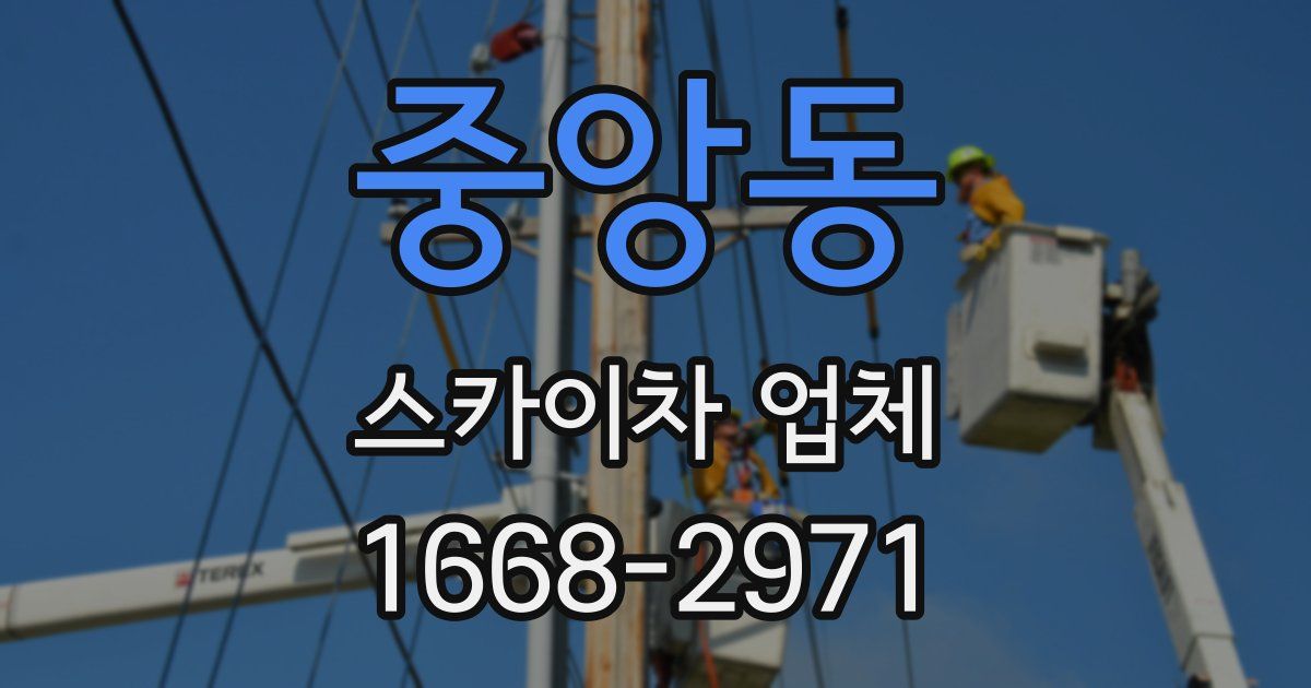중앙동 스카이차 업체