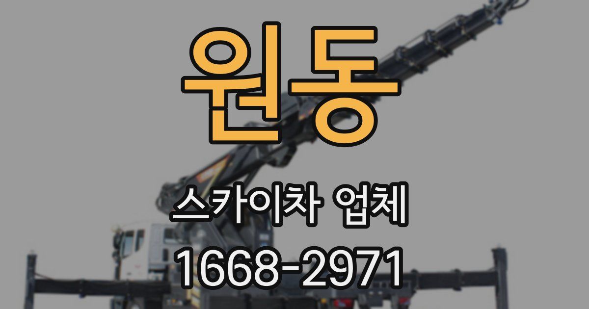 원동 스카이차 업체