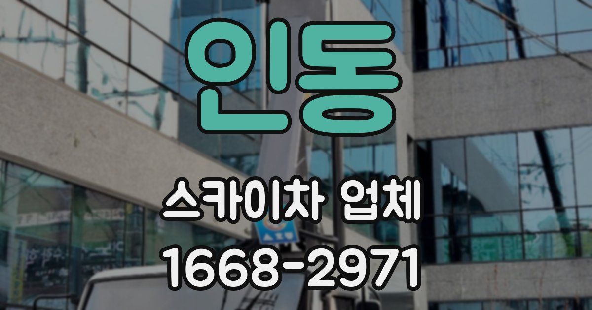 인동 스카이차 업체