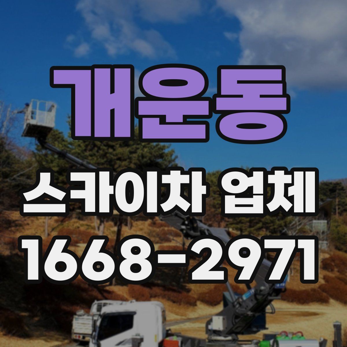 개운동 스카이차 업체 비교 기준으로 자주 놓치는 부분