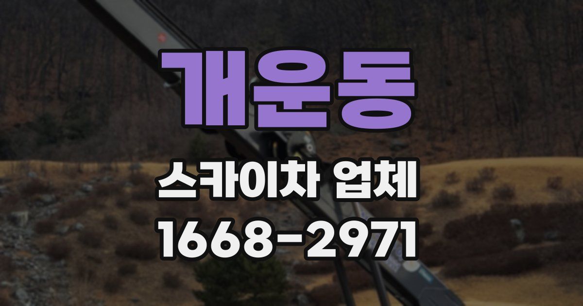 개운동 스카이차 업체