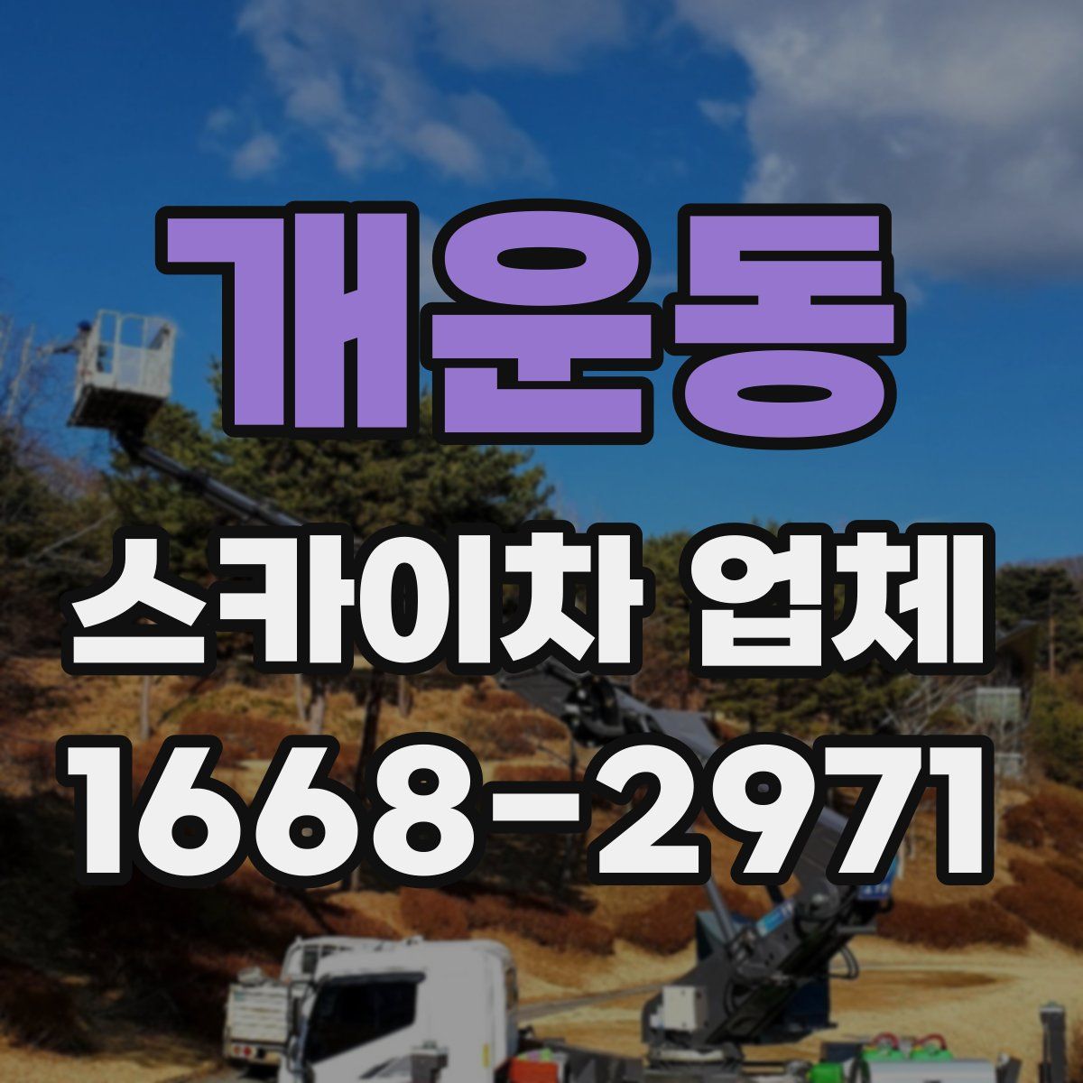 개운동 스카이차 업체