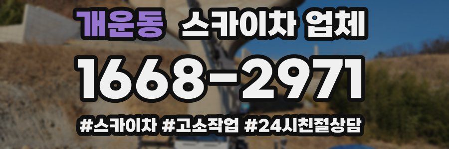개운동 스카이차 업체
