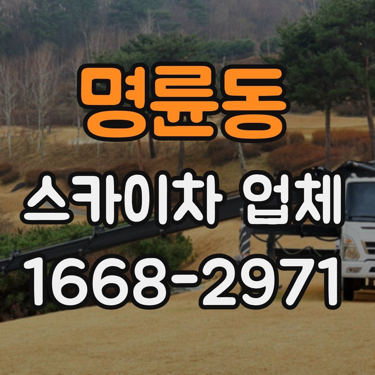 명륜동 스카이차 업체 이용 후기에서 자주 보는 포인트