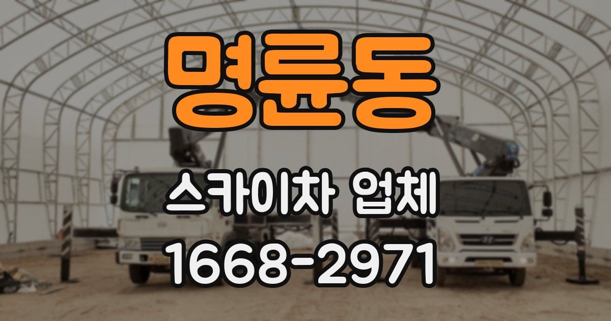 명륜동 스카이차 업체