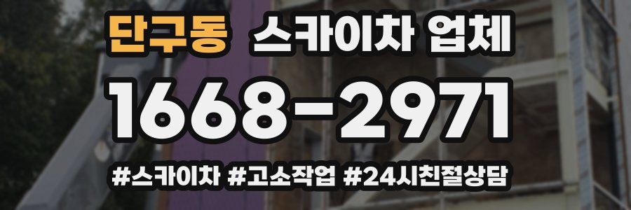 단구동 스카이차 업체