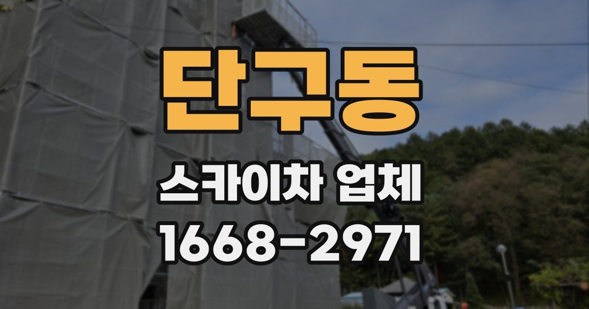 단구동 스카이차 업체
