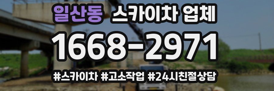 일산동 스카이차 업체
