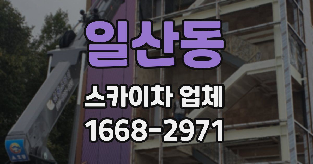 일산동 스카이차 업체