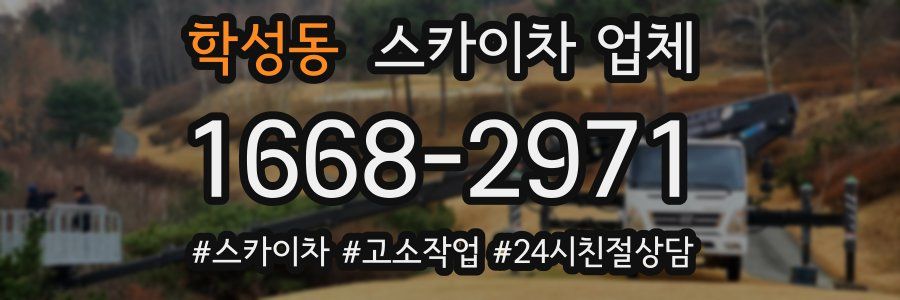 학성동 스카이차 업체