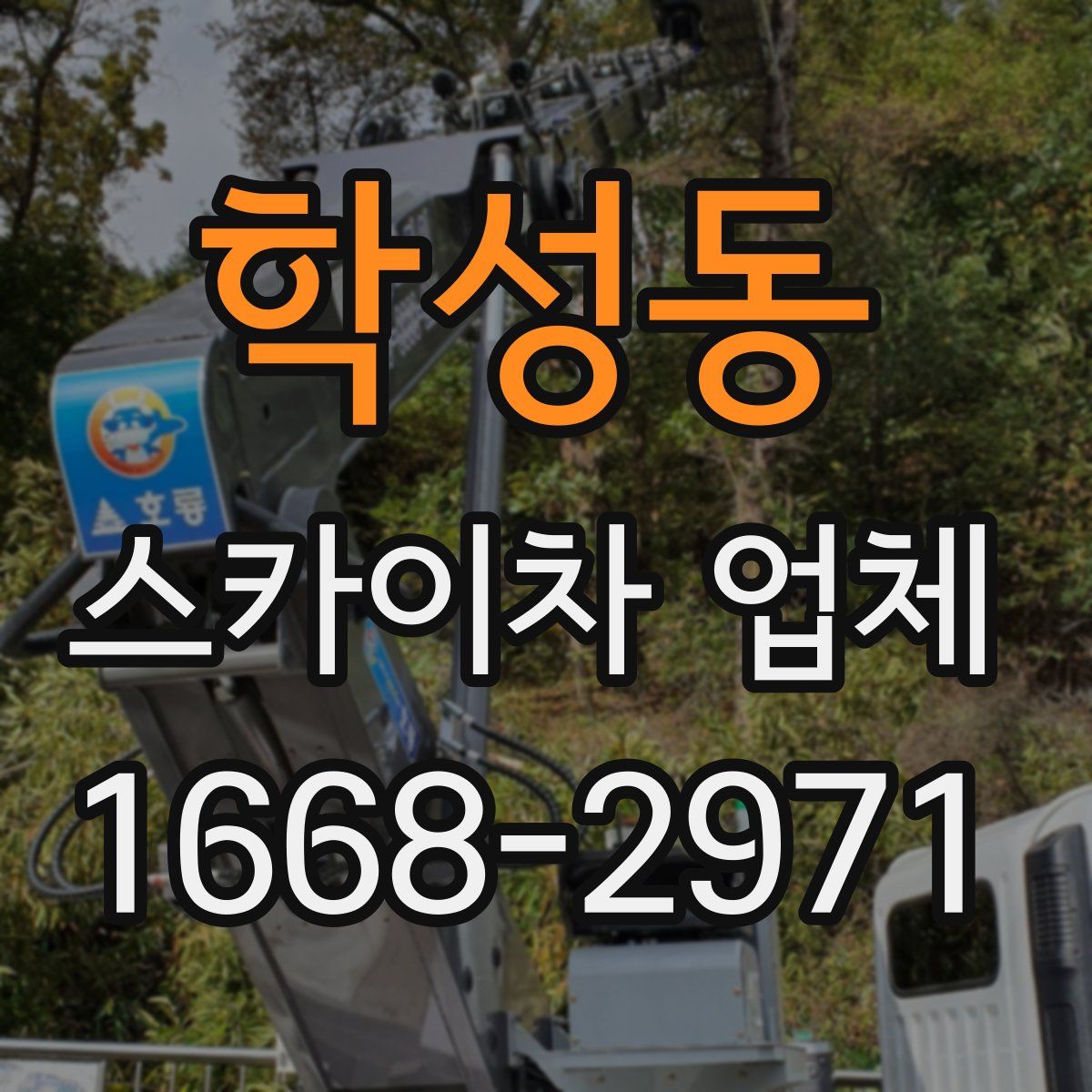 학성동 스카이차 업체