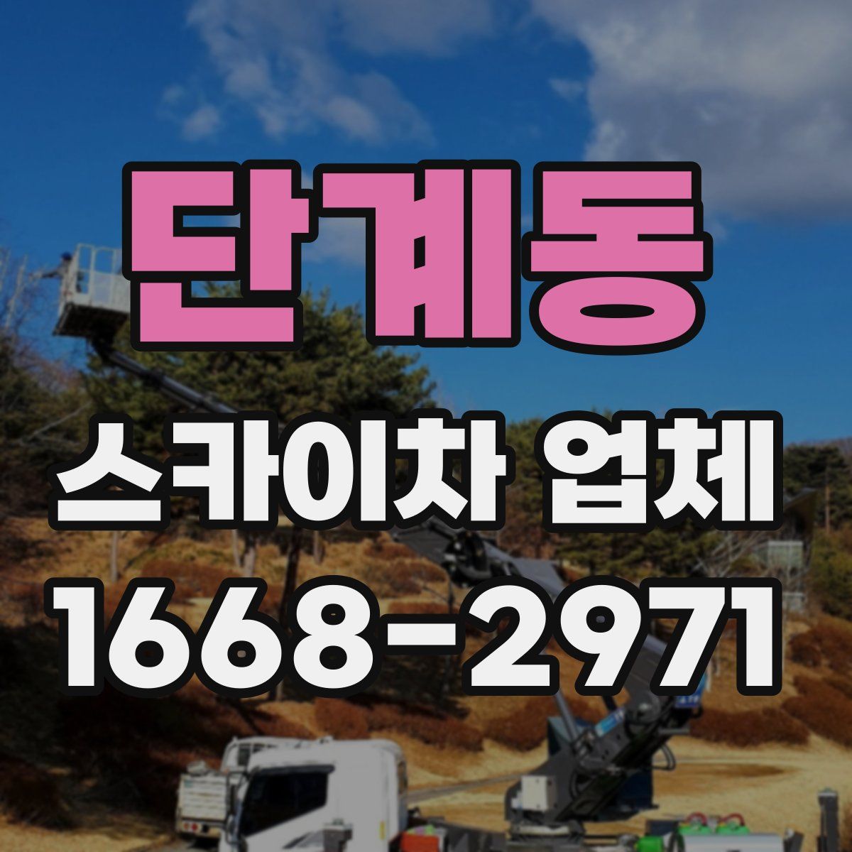 단계동 스카이차 업체