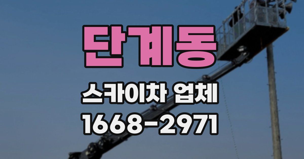 단계동 스카이차 업체