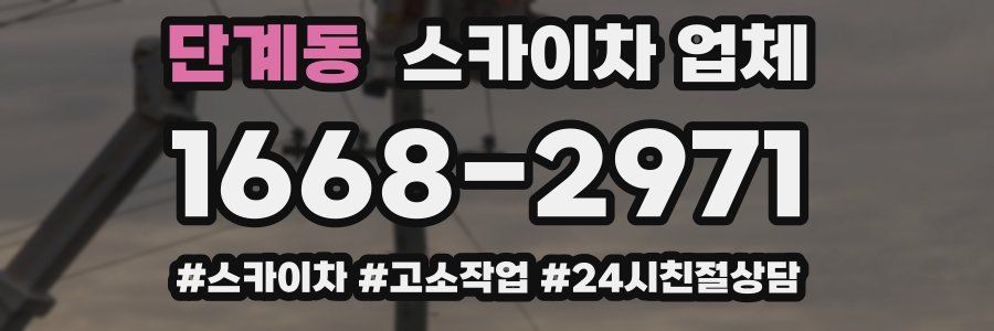 단계동 스카이차 업체