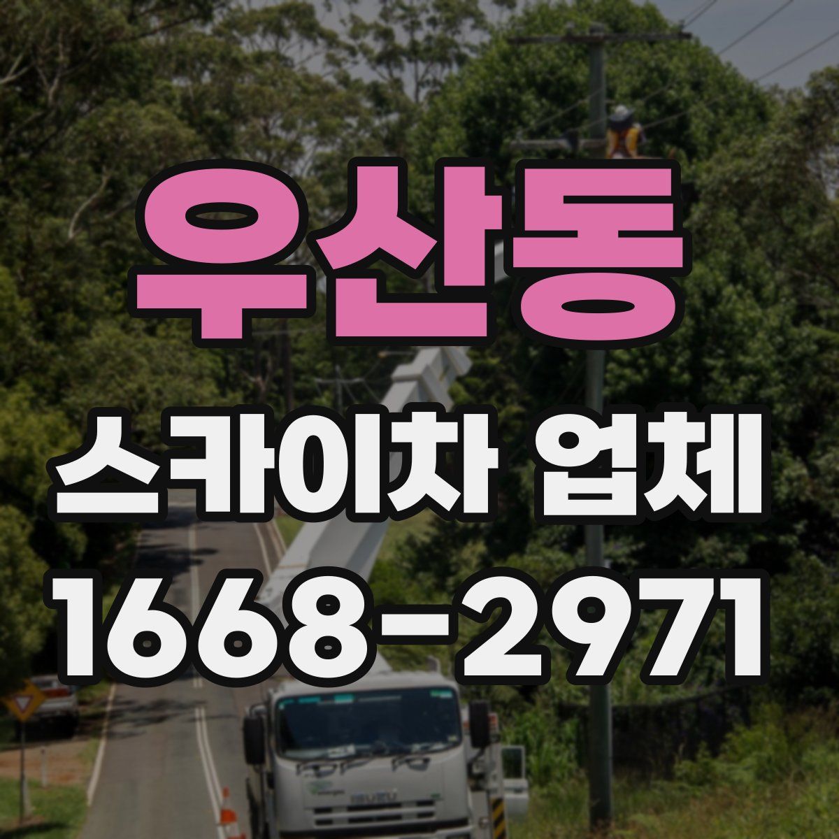 우산동 스카이차 업체