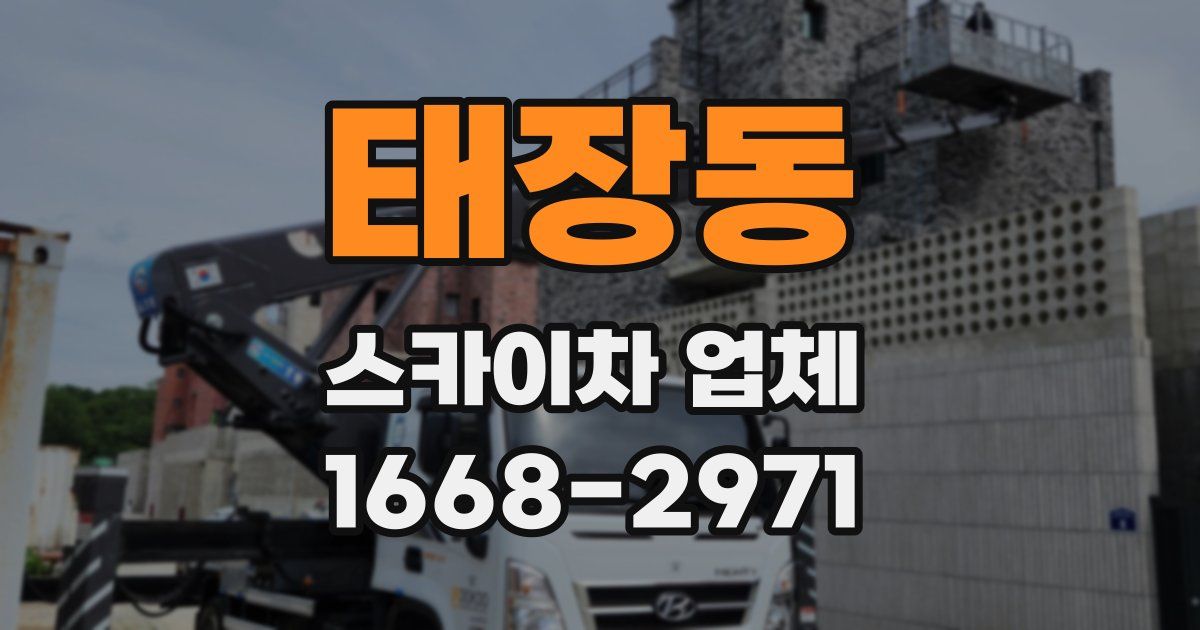 태장동 스카이차 업체