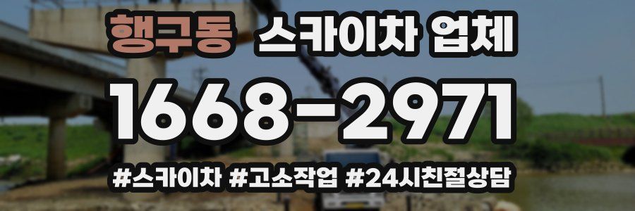 행구동 스카이차 업체