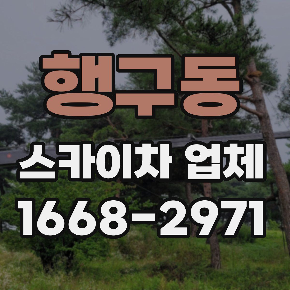 행구동 스카이차 업체