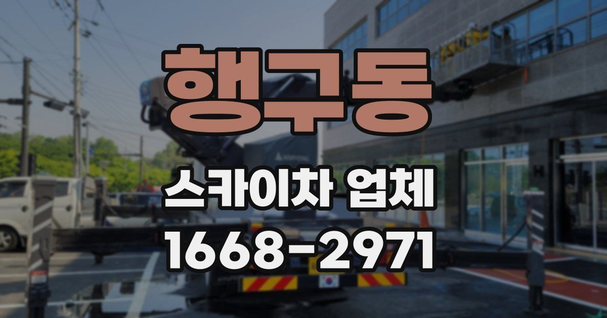 행구동 스카이차 업체